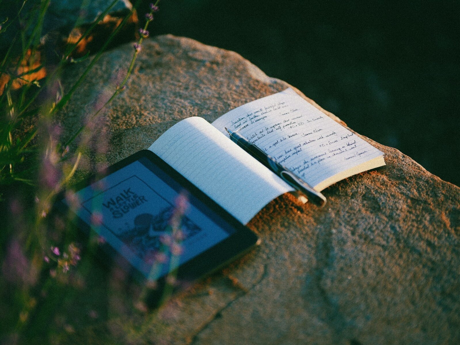 Notebook, pen, e-reader on rock among lavender